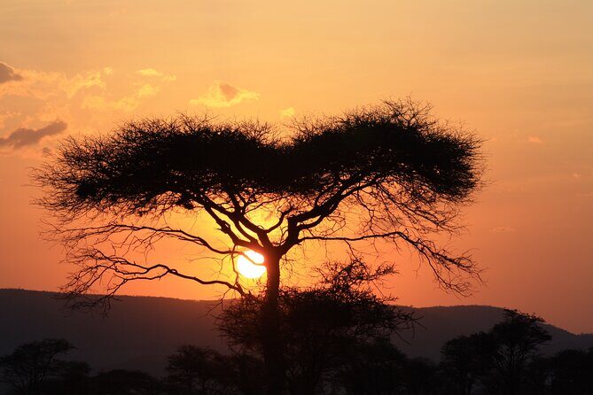 5-Day private Camping Safari Tour in Tanzania - Price and value: what $2,300 per person is buying