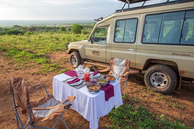 5-Day Private Northern Tanzania Safari from Arusha - Serengeti Day 3: big cats, big five style searching