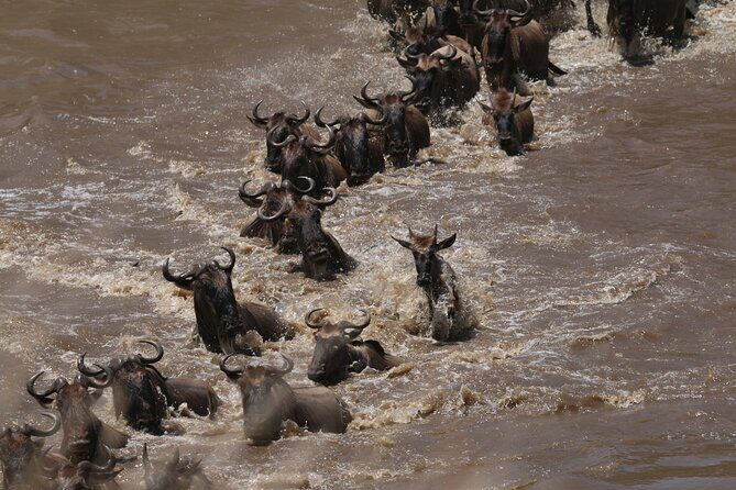 5-Day Private Northern Tanzania Safari from Arusha - Food and comfort: what the included meals really buy you