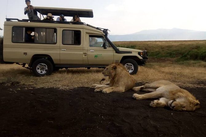 5 Day Silver Serengeti & Ngorongoro Crater & Tarangire Safari - Arusha first stop: Outpost Lodge and the easy start