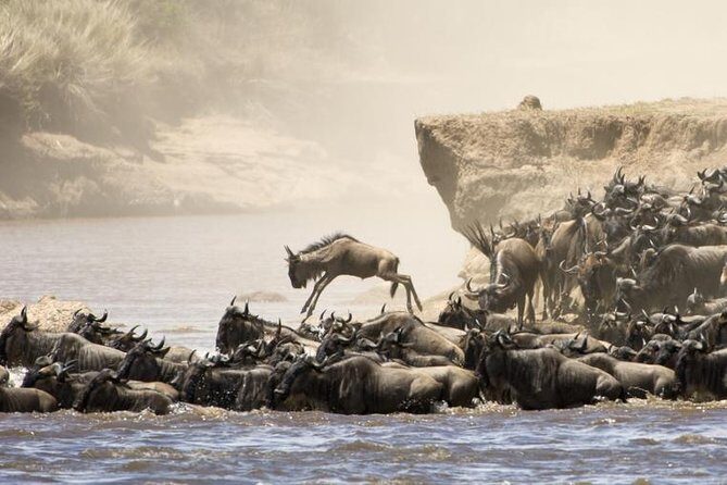 5 Days 4 Nights Tarangire, Serengeti , Ngorongoro & Manyara Wildlife Safari - The parks-and-animals plan (and why 5 days is the sweet spot)