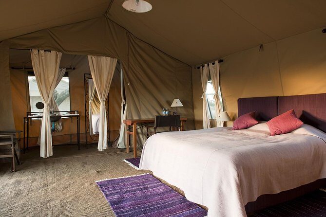 5 Days 4 Nights Tarangire, Serengeti , Ngorongoro & Manyara Wildlife Safari - Day 1 in Tarangire: elephants, lions, birds, and a picnic lunch that keeps you moving