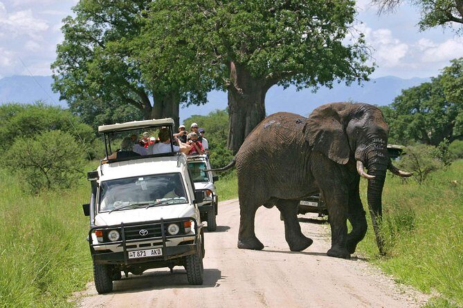 5 Days 4 Nights Tarangire, Serengeti , Ngorongoro & Manyara Wildlife Safari - Day 3 in Serengeti: early morning drives and an optional balloon safari