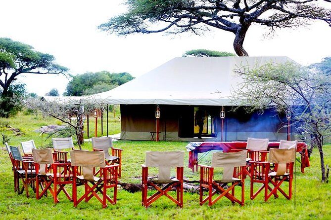 5 Days 4 Nights Tarangire, Serengeti , Ngorongoro & Manyara Wildlife Safari - Day 4 on Ngorongoro Crater floor: Lake Magadi and the “caldera bowl” effect