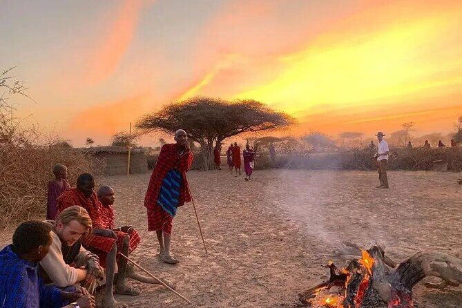 5- Days Best Mid-range Safari and Maasai Village experience - Meals, Timing, and How to Not Hate the Long Driving Days