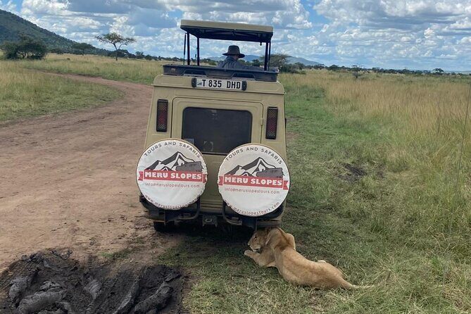 5 Days Camping Tarangire, Serengeti & Ngorongoro crater & Visiting Maasai - Following the Great Migration: When Timing Matters (and When It Doesn’t)