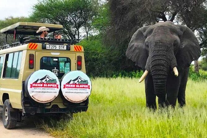5 Days Camping Tarangire, Serengeti & Ngorongoro crater & Visiting Maasai - Ngorongoro Conservation Area and the Shot at Sunrise Views
