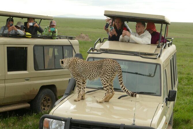 5 Days Camping Tarangire, Serengeti & Ngorongoro crater & Visiting Maasai - Mto wa Mbu Village: Bananas, Banana Plantations, and Local Guides