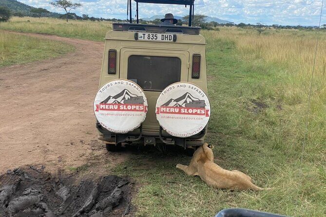 5 Days Camping Tarangire, Serengeti & Ngorongoro crater & Visiting Maasai - Serengeti: Seronera Plains, River Water, and Game Drive Rhythm