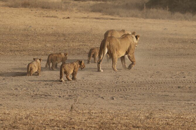 5 Days Group Camping Safari - Key things to know before you go