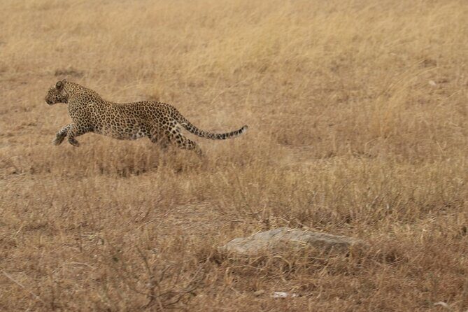 5 Days Group Camping Safari - Day 1 Tarangire: elephants, baobabs, and an afternoon game drive