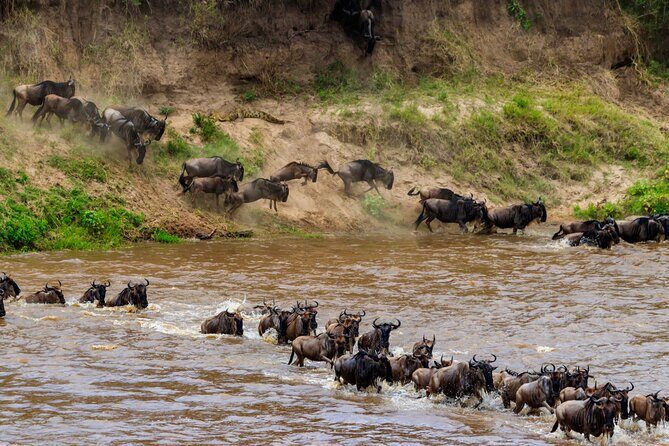 5 Days Mid-Range Group Safari with Accommodation - Arusha to Tarangire: baobabs, elephants, and a strong warm-up day