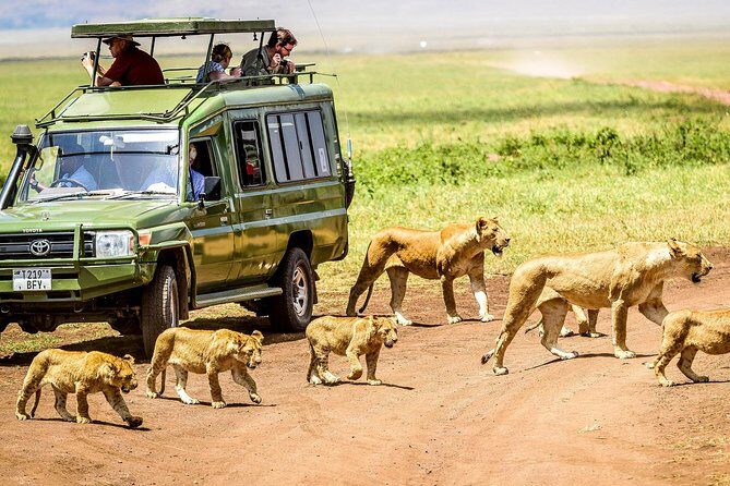 5 Days Private Safari- Tarangire, Serengeti, Ngorongoro & Manyara - Arusha-to-Tarangire-to-Serengeti-to-Ngorongoro-to-Manyara: the big picture