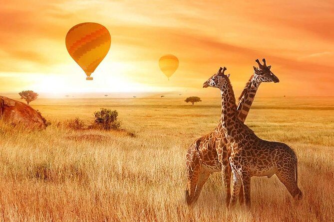 5 Days Private Safari- Tarangire, Serengeti, Ngorongoro & Manyara - Private 5-day rhythm: early mornings, long drives, and crater time