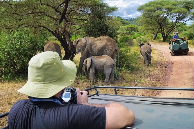 5 days safari, hiking & culture (Serengeti & kilimanjaro) - Day 3 into day 4: crater descent and the black rhino challenge