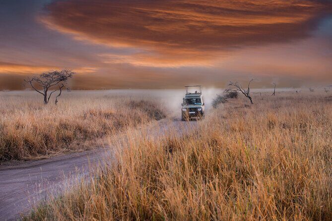 5 days safari, hiking & culture (Serengeti & kilimanjaro) - Logistics that matter: starts, drives, and the no-restroom detail