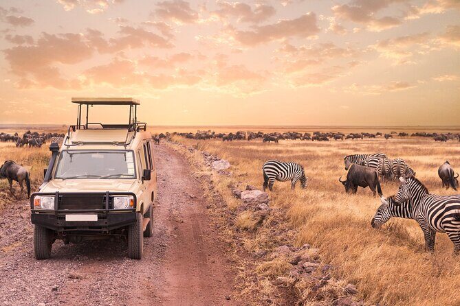 5 days safari, hiking & culture (Serengeti & kilimanjaro) - Day 1 in Tarangire: lions and cheetahs before the big days