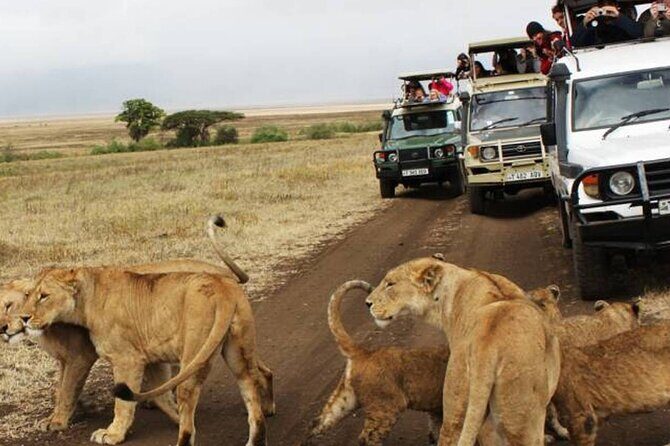5 Days Safari in Tanzania | Camping and Lodge Safaris - Price and value: what $1,800 buys (and what it doesn’t)