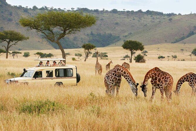5 Days Safari in Tanzania | Camping and Lodge Safaris - Day 2 Serengeti arrival: crossing the Great Rift Valley in daylight
