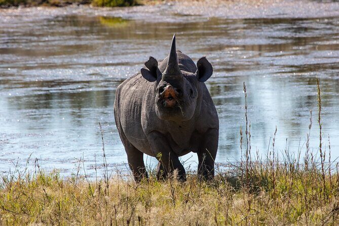 5 Days Safari Northern Circuit of Tanzania - Lake Manyara: Tree-Climbing Lions, Flamingos, and Variety