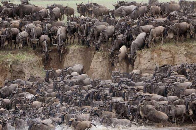 5 Days Serengeti Camping Safari - Lake Manyara on Day 5: Flamingos, Hippos, and Hot Spring Time
