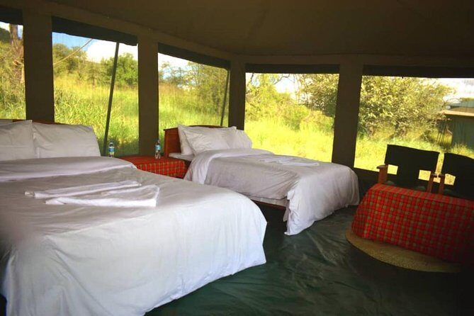 5 days serengeti, ngorongoro, tarangire & manyara lodge tour - Ngorongoro Crater: When the Wildlife Feels Closer