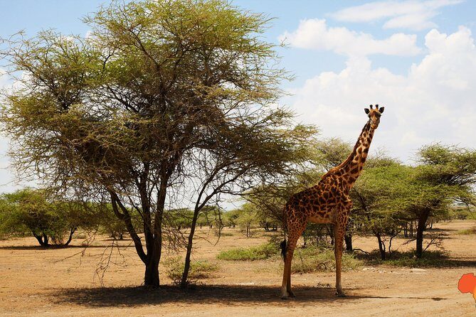 5 days Tanzania Camping Safari - Ngorongoro Crater Descent: The UNESCO Site You Feel in Your Legs