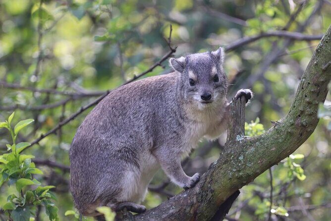 5 Days Tanzania Joining Safari with Pick Up Included Shared Tour - Key highlights worth knowing before you go