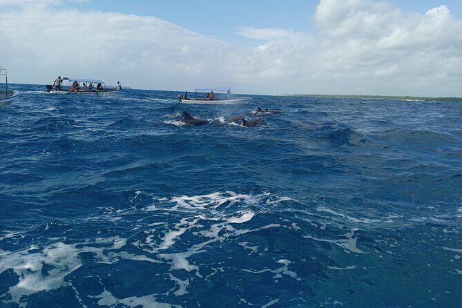 5-Hour Snorkeling, Swimming with Dolphins and Sea Turtles Aquarium - Mnemba Atoll Marine Reserve: the snorkeling star of the day