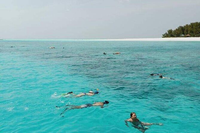 5-Hour Snorkeling, Swimming with Dolphins and Sea Turtles Aquarium - Timing matters: the 8:30 boat and about 4 hours in the water