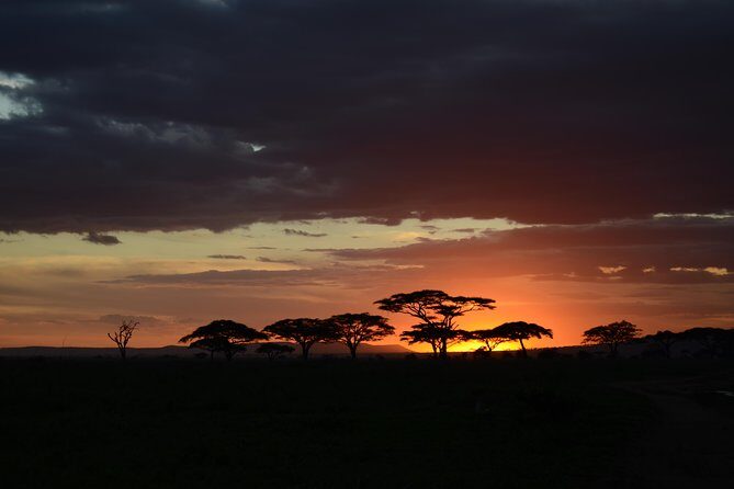 5days Tanzania Safari lodge and camping Serengeti, Tarangire & Ngorongoro Crater - Key things that make this safari work