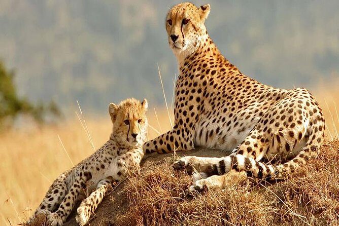5days Tanzania Safari lodge and camping Serengeti, Tarangire & Ngorongoro Crater - Ngorongoro Crater day four and day five: rim sunset and the steep walk down
