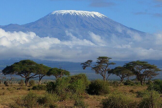 6-Day Kilimanjaro Climbing Via Machame Route - Quick hits before you go