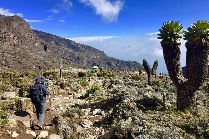 6-Day Kilimanjaro Climbing Via Machame Route - Day 5: Midnight Summit Push to Stella Point Sunrise