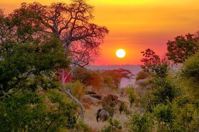 6-Day Private midrange Tour in Arusha with Airport Pickup - Serengeti’s Seronera Area: Two Days Where Your Eyes Learn the Game