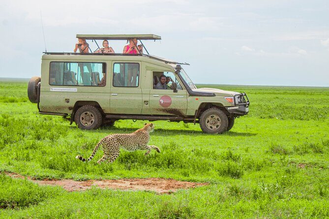 6 Day Tanzania Wildlife Mid range Safari - Lake Manyara: where baboons steal the show and lions like trees