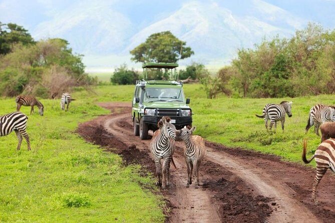 6 Day Tanzania Wildlife Mid range Safari - Lodges, meals, and the small comforts that stop a safari from becoming a chore