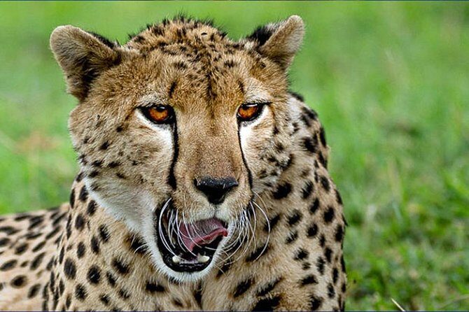 6 Day Tanzania Wildlife Mid range Safari - Price and value: what you’re paying for (and what to budget)
