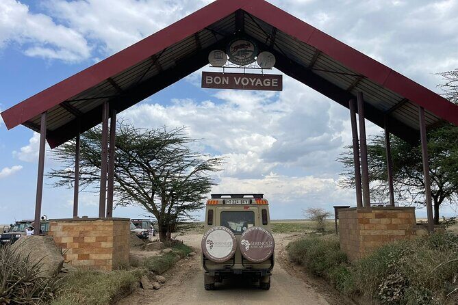 6 Day Tanzania Wildlife Mid range Safari - Serengeti: two days near Seronera for migration-country chances
