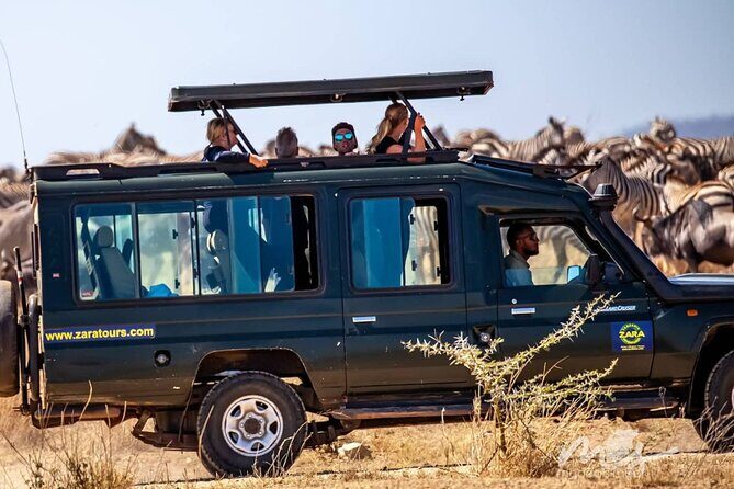 6 Days 5 Night Safari - Olduvai Gorge: a stop that adds meaning, not just another viewpoint