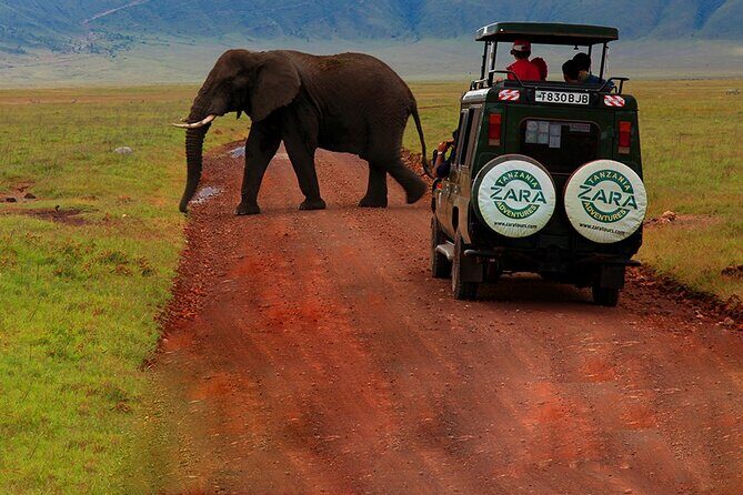 6 Days 5 Night Safari - Tarangire: birding energy and dry-season game near the Tarangire River