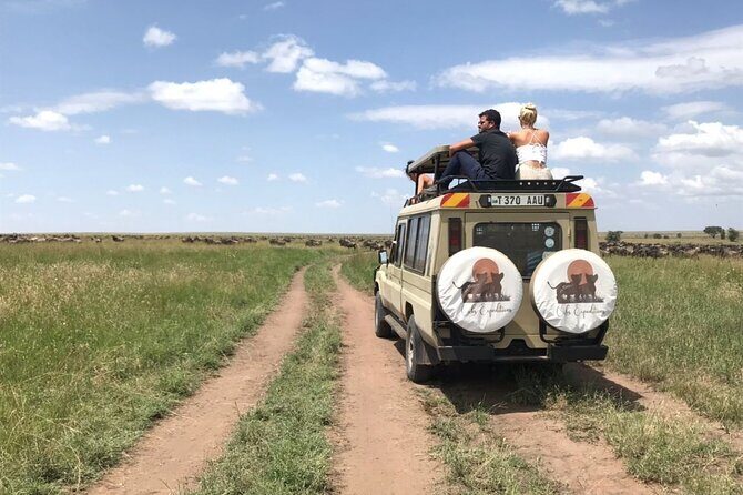 6 days 5 nights safari Ngorongoro, Serengeti and Tarangire National Parks - Serengeti Days: Sunset Search One Day, Sunrise Predator Time the Next