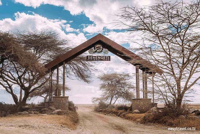 6 days 5 nights safari Ngorongoro, Serengeti and Tarangire National Parks - Day 2 Tarangire: Elephants and a Real Picnic Break