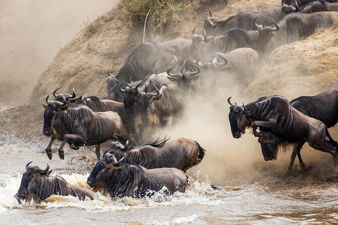 6 Days best adventure kilimanjaro ,Tarangire ,Serengeti &Ngorongoro crater - Day 4: Ngorongoro Crater floor game driving with picnic lunch, then Tarangire transfer