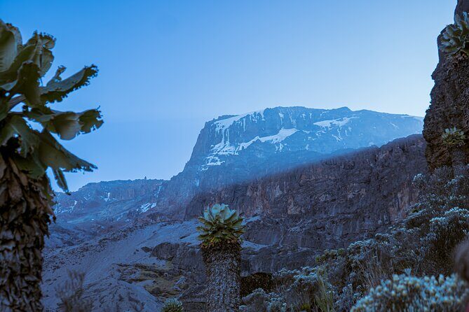 6 Days Climb Private Tour in Mount Kilimanjaro - Safety and comfort on Kilimanjaro: trained guides, oxygen, and real camping gear