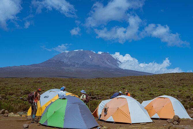 6 Days Climb Private Tour in Mount Kilimanjaro - Your Moshi setup: hotel nights, pickup timing, and a smoother start