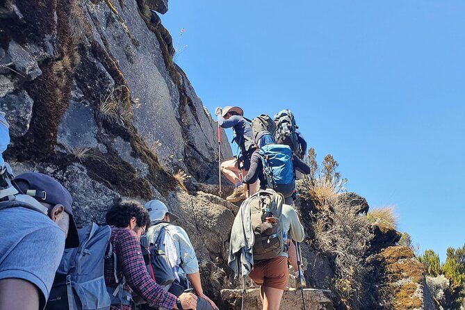 6 Days Climbing Mount Kilimanjaro Machame Route - Day 1: Machame Camp and rainforest footing (5-7 hours over 11 km)