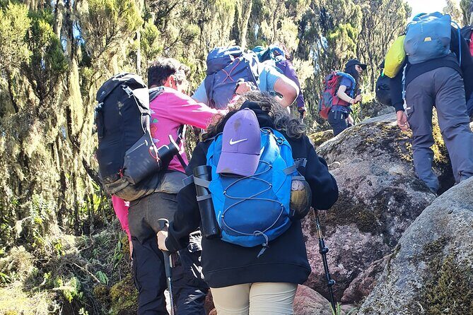 6 Days Climbing Mount Kilimanjaro Machame Route - Day 5: Summit morning to Uhuru Peak and the long descent (up early, down fast)