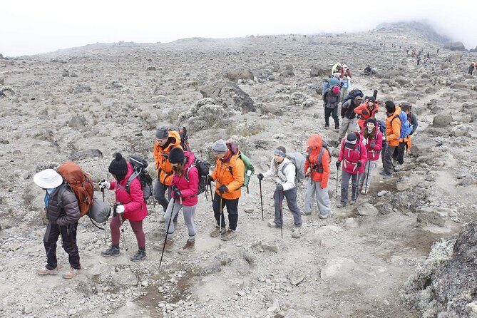 6 Days: Hiking Kilimanjaro via Machame Route - Day 4: Barranco Wall with guide help, then Barafu Camp