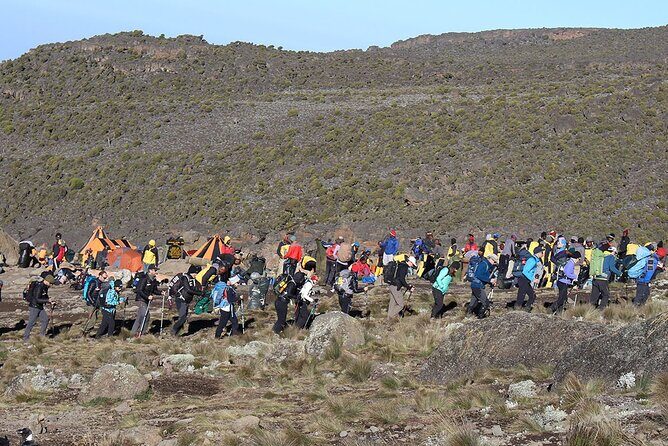 6 Days: Hiking Kilimanjaro via Machame Route - Day 6: rainforest descent to Mweka Gate, plus the certificate moment